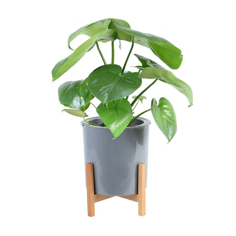 DS BS 3 Size Plant Pot Stand with Wood Rack