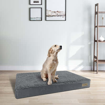 DS BS Egg-Crate Foam Dog Bed with Removable Washable Cover-L