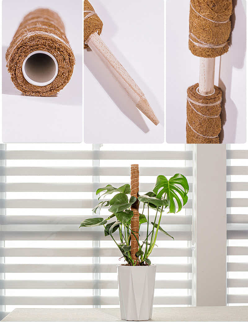 DS BS Coconut Liner Moss Rod for Climbing Plants 50cm 4 Pack