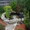 DS BS Solar Powered Oxygen Air Bubble Fountain Pump