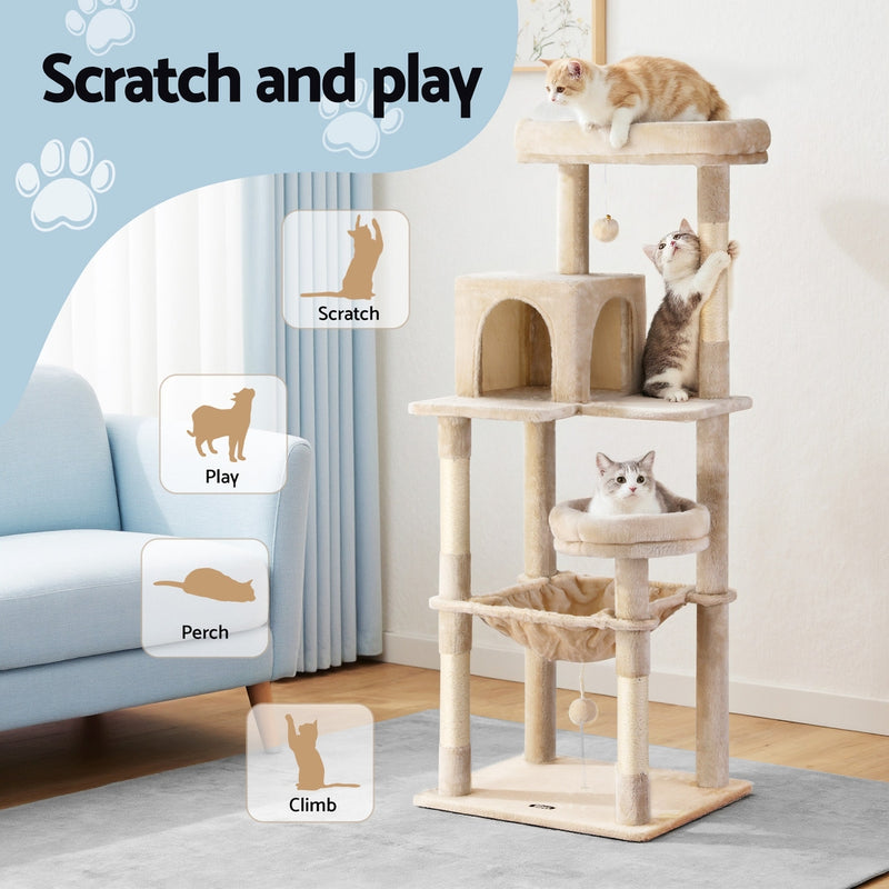 Pets & Animals