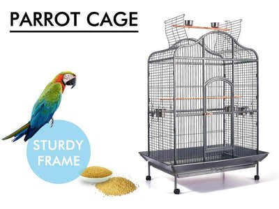 Iron Bird Cage with Top Open Design - 164 cm
