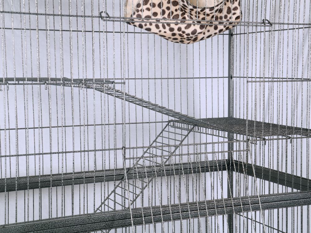 Bird cage