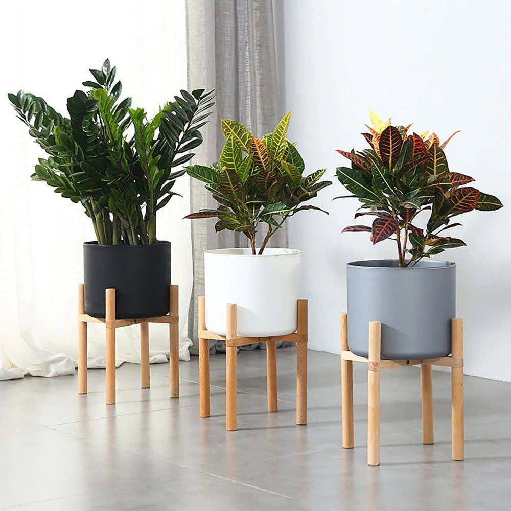 DS BS Modern Flower Pot with Display Potted Rack-Black