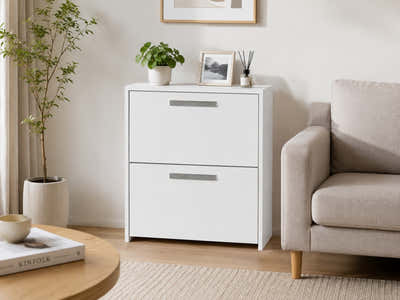 2-Drawer Lateral File