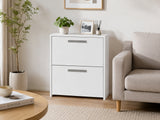 2-Drawer Lateral File