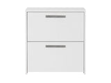 2-Drawer Lateral File