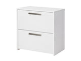 2-Drawer Lateral File