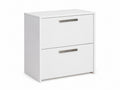 2-Drawer Lateral File