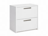 2-Drawer Lateral File