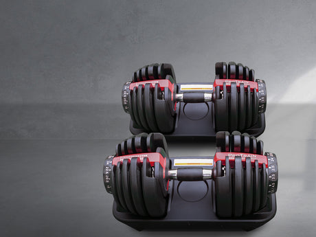 Pair Adjustable Dumbbells 24KG