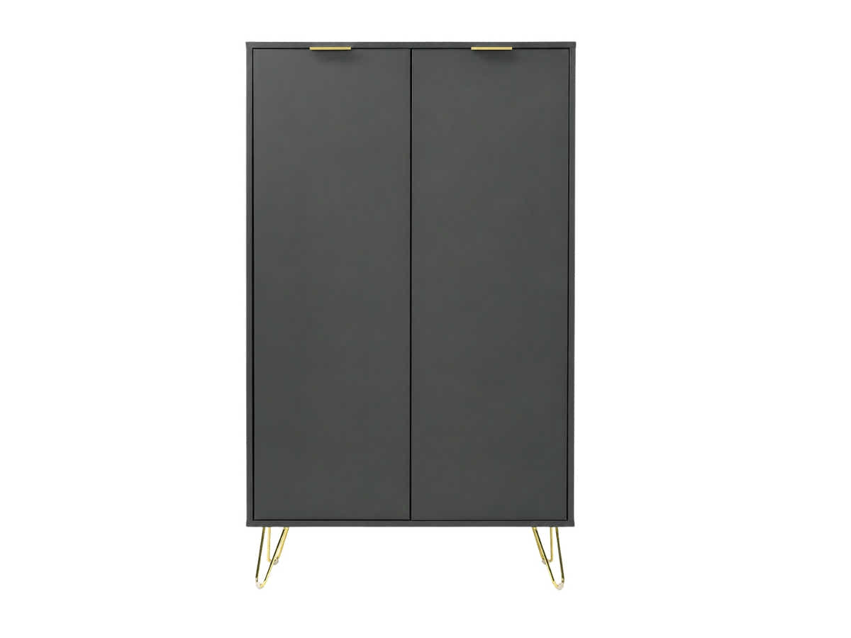 Zinnia 2-Door Shoe Storage Cabinet