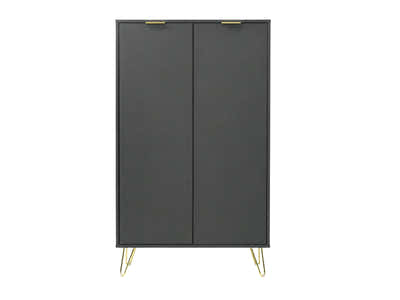 Zinnia 2-Door Shoe Storage Cabinet