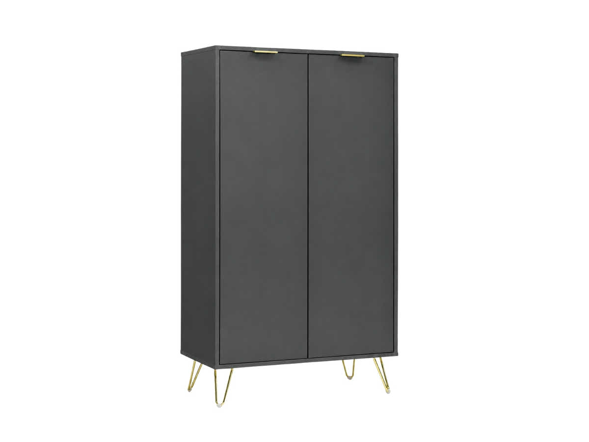 Zinnia 2-Door Shoe Storage Cabinet