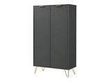 Zinnia 2-Door Shoe Storage Cabinet