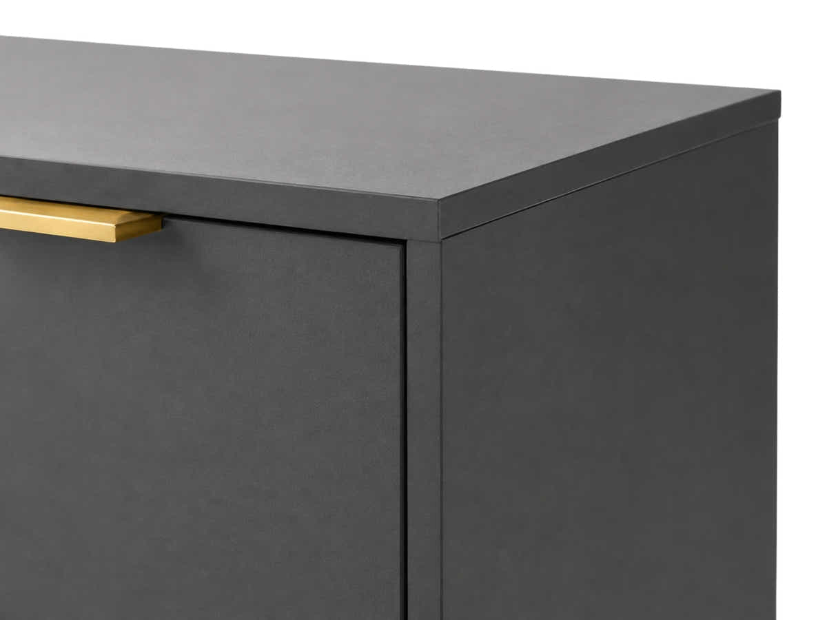 Zinnia 2-Door Shoe Storage Cabinet