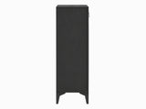 Lonna Steel 3-Door Shoe Cabinet - White Marble
