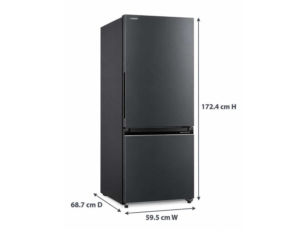Toshiba 325 L Bottom Mount Fridge Freezer