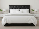 Raisa PU Headboard Black - King