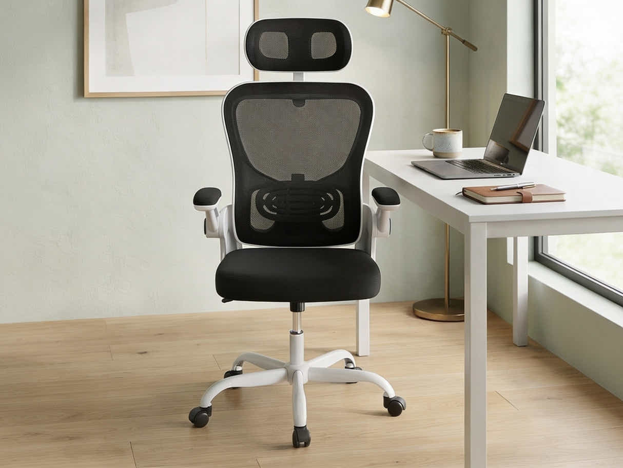 Molina Mesh Task Chair - White + Black