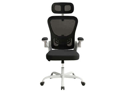 Molina Mesh Task Chair - White + Black