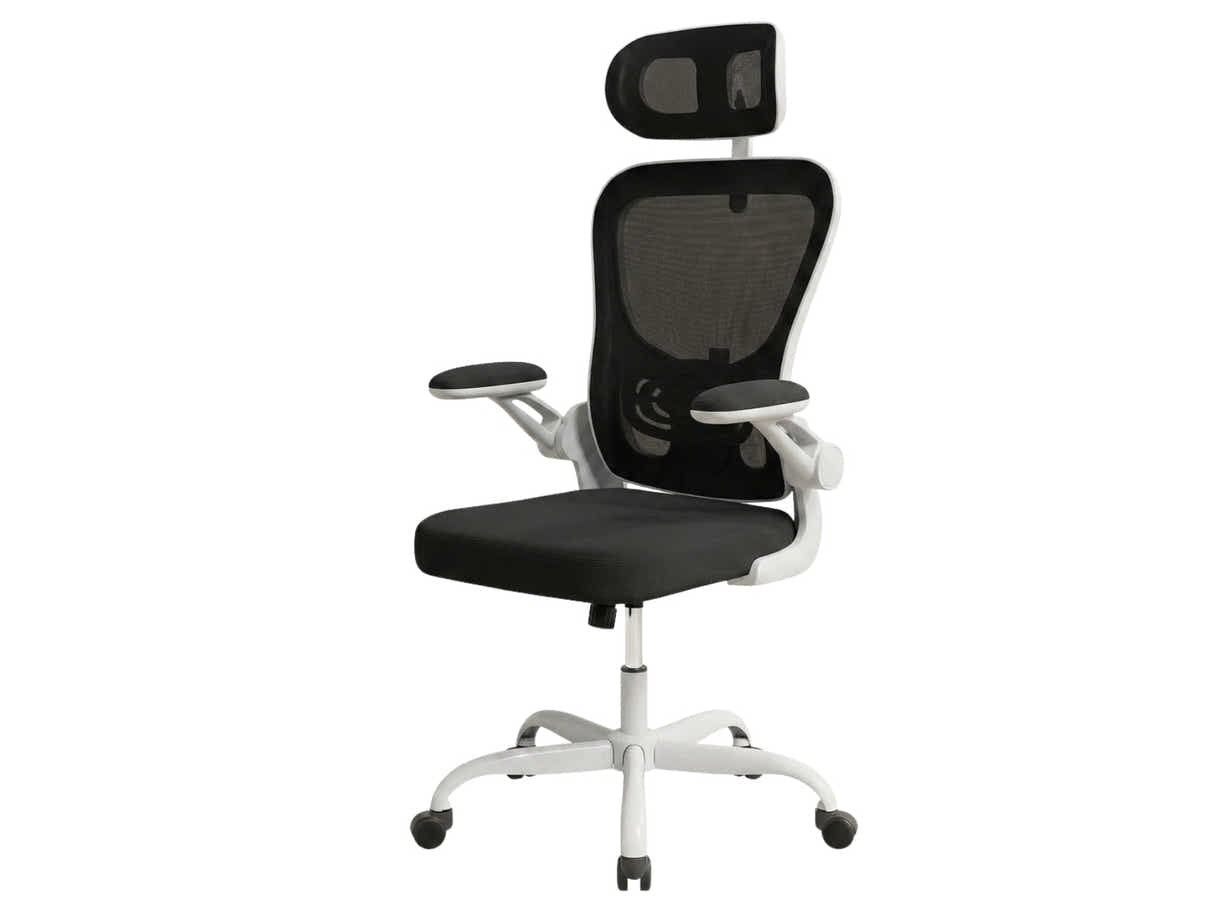 Molina Mesh Task Chair - White + Black