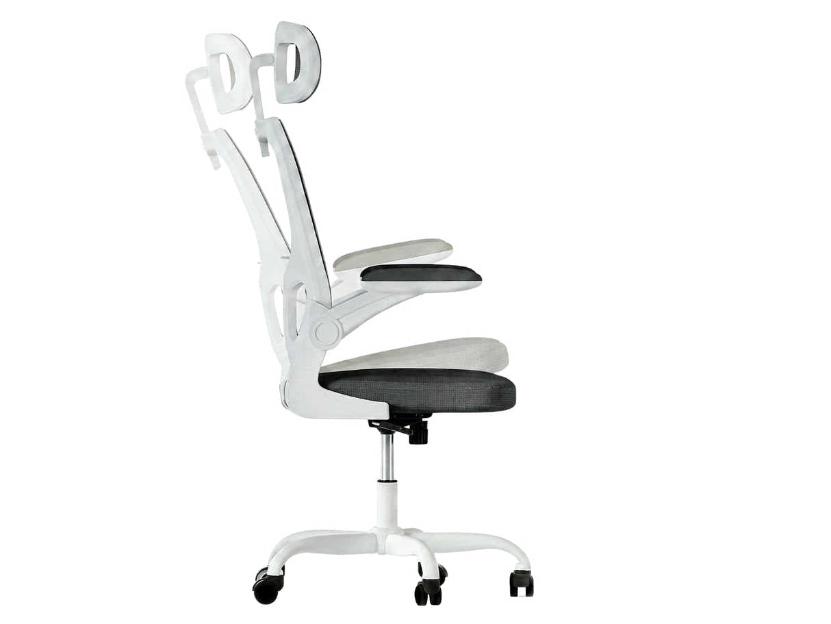 Molina Mesh Task Chair - White + Black