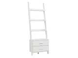 Hollow Core ladder Bookcase - White