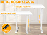 Height Adjustable Desk Frame Dual Motors