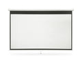 100 Inches Wide Screen Manual Projector Screen