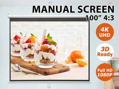 DS Projector Screen 100"