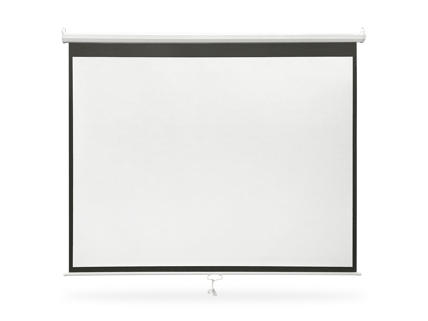 Projector Screen 100