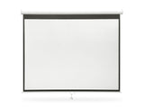 Projector Screen 100