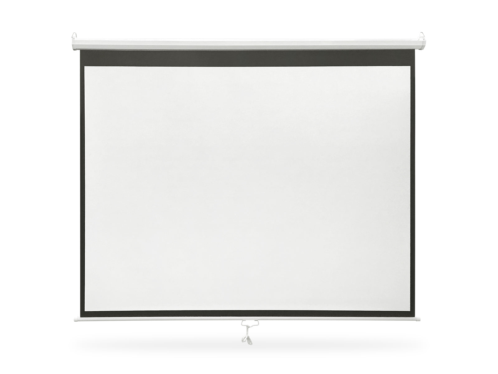 Projector Screen 100"