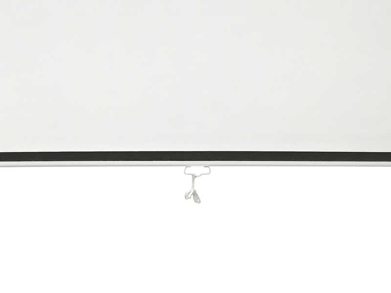 DS Projector Screen 100"