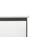 Projector Screen 100
