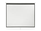 Projector Screen 120''