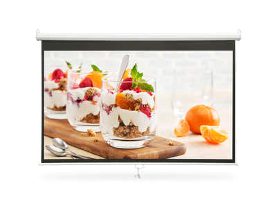 DS Projector Screen 84'' 16:9 Wide Screen