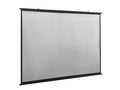 DS Wall Mount Screen 100