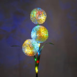 DS BS 2Pack Solar Outdoor Garden Color Changing/Warm White Light