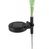 DS BS 2Pack Solar Outdoor Garden Color Changing/Warm White Light