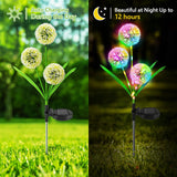 DS BS Solar Dandelion Garden Lights Decorative with 36 LED