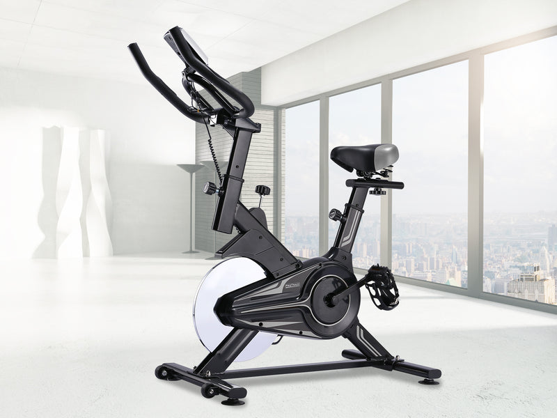 DS Exercycle Bike