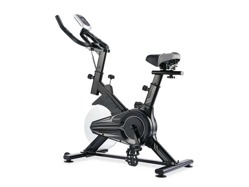 DS Exercycle Bike