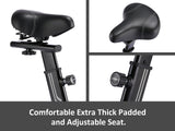 DS Exercycle Bike