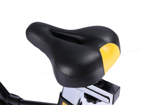 DS Spin Bike 13Kg