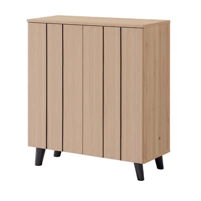 Laelia 2 Doors Shoe Cabinet