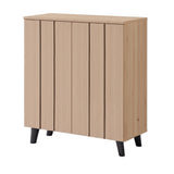 Laelia 2-Door Shoe Cabinet