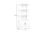 DS Bookcase with Storage Cabinet White