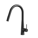 DS NA Kitchen Mixer Tap Pull Out Round 2 Mode Sink Basin Faucet Swivel